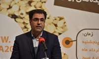 نوآوری، خلاقیت و درآمدزایی در حوزه محصولات کنجدی باید به‌صورت جدی مورد توجه قرارگیرد 